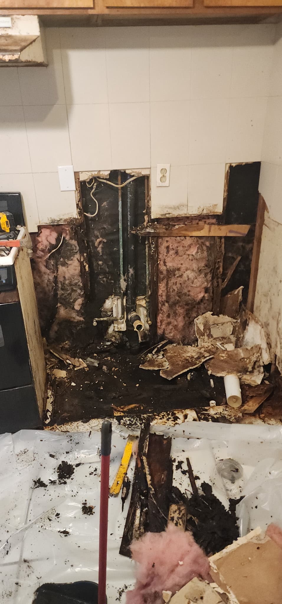 Full demolition — rotted subfloor and framing